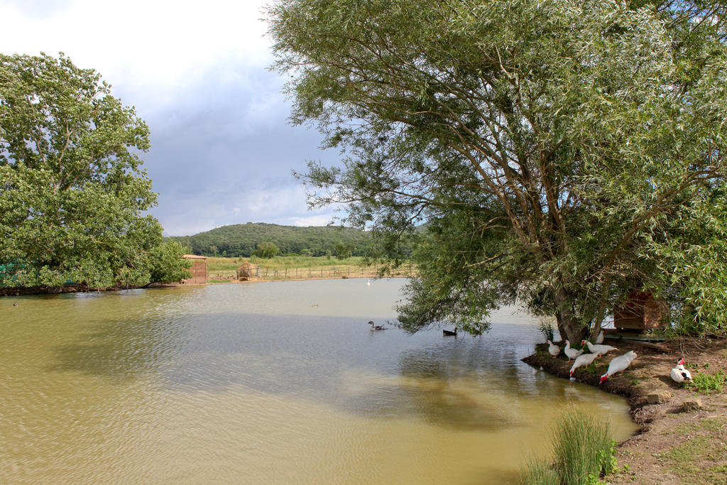 Agriturismo Da Lorena Marsiliana Dış mekan fotoğraf